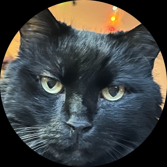 smoovecat